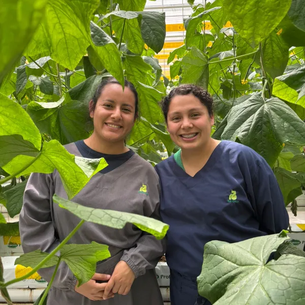 Quality Assurance Specialist 