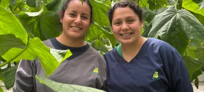 Quality Assurance Specialist 